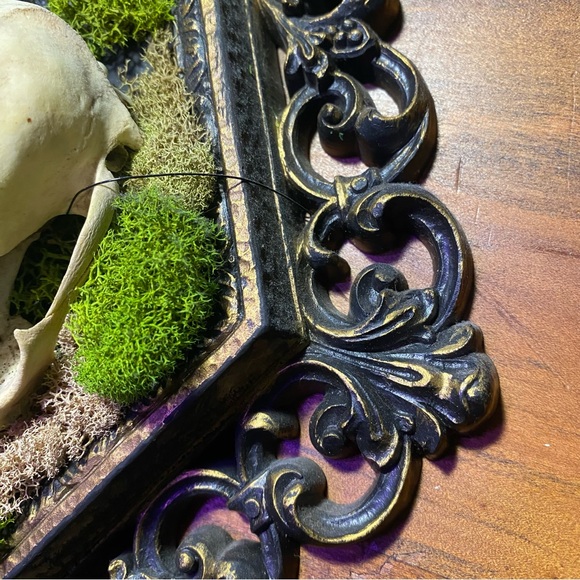 Raccoon Skull Moss Victorian Style Frame Decoration - Picture 7 of 13